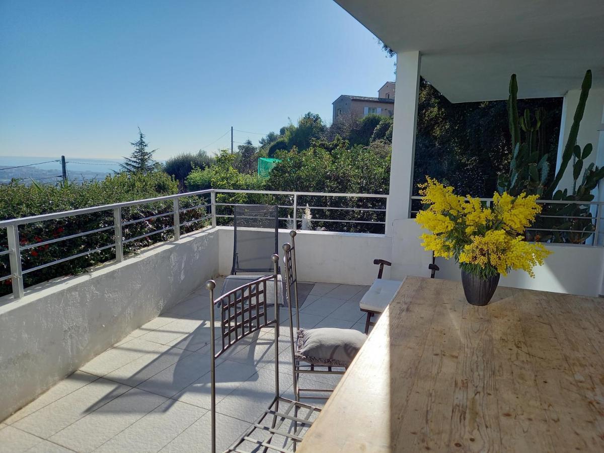 Villa Malibu Mandelieu エクステリア 写真