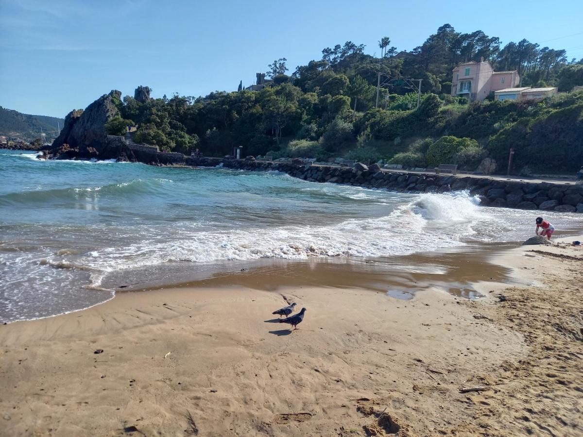 Villa Malibu Mandelieu エクステリア 写真
